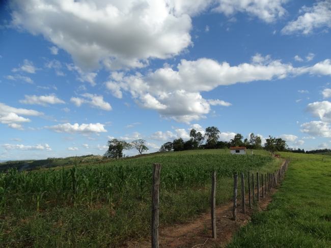 VEREADORES TRABALHAM EM BUSCA DE APOIO AOS PEQUENOS PRODUTORES RURAIS