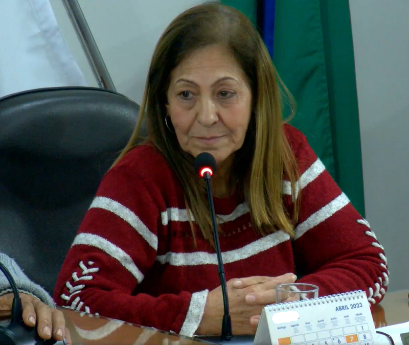 VEREADORA CIDA SOLICITA COLOCAÇÃO DE UM BEBEDOURO DE ÁGUA NA RODOVIÁRIA E VARREDEIRAS EM TODOS OS BAIRROS DA CIDADE